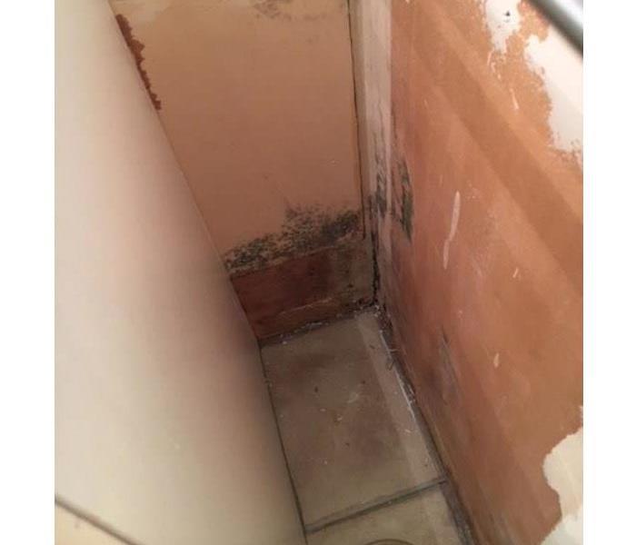 mold behind cabinet