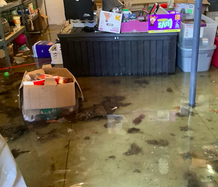 standing water in basement of home
