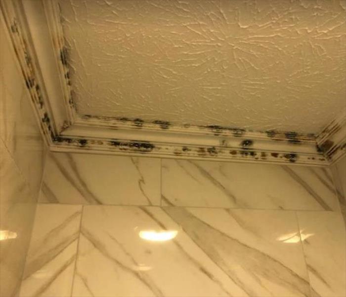 mold on wall and ceiling of home