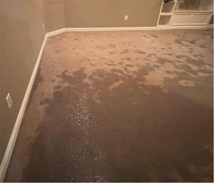 water damaged basement carpet