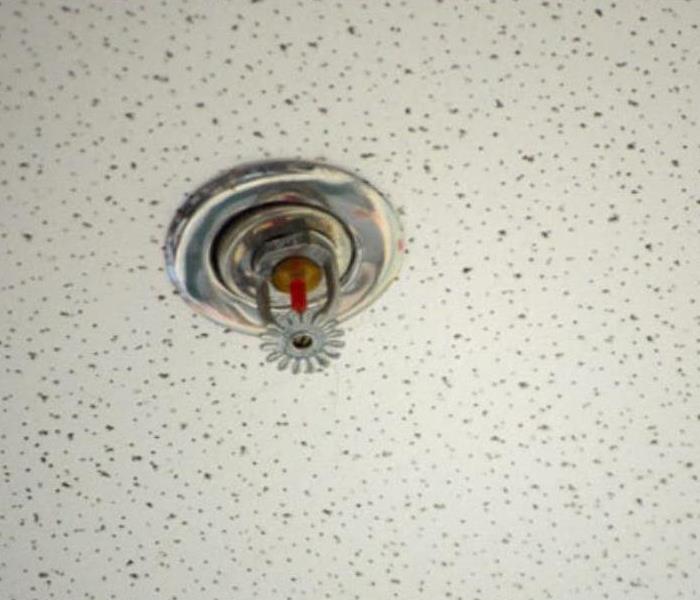 sprinkler head on ceiling 